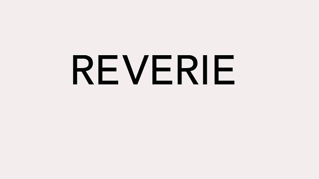 gmreverie-logo